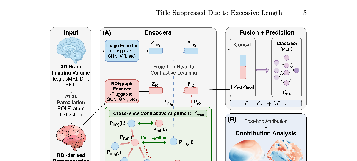 Cross-view contrastive framework