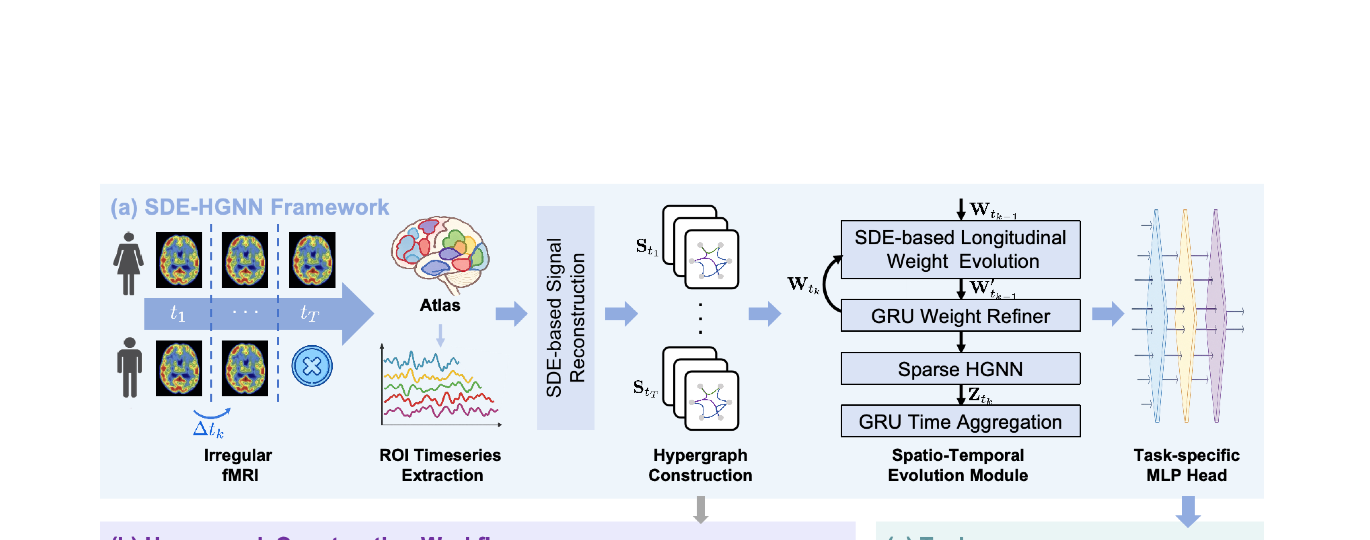 SDE-driven spatio-temporal hypergraph for longitudinal fMRI