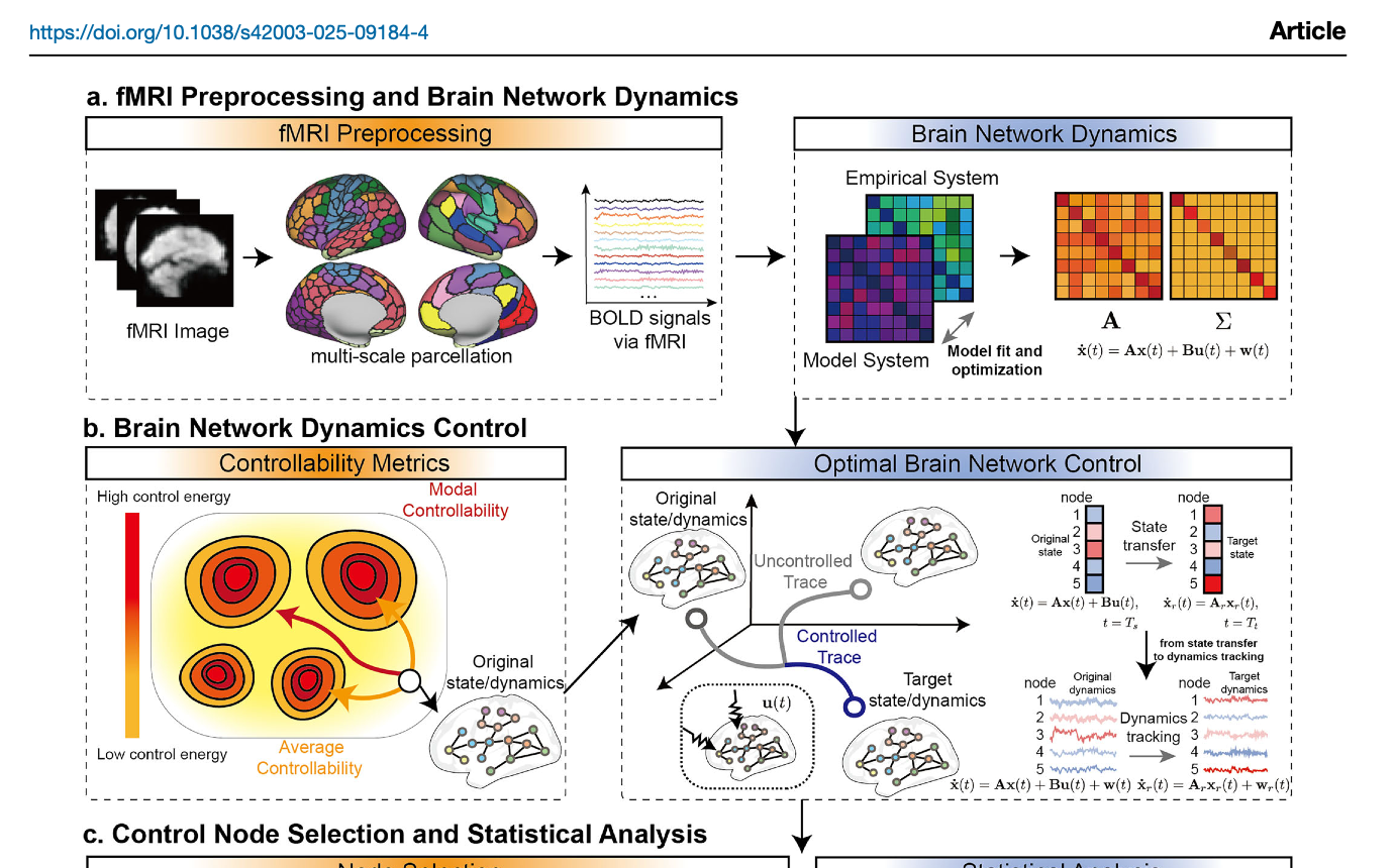 Stochastic tracking control of brain network